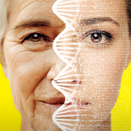 8008fe6edf1aad1921437872b0dc03e88b8694beb55d5f73143d3ce8691ff3c8._SX1080_FMpng_