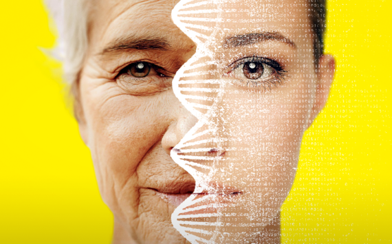 8008fe6edf1aad1921437872b0dc03e88b8694beb55d5f73143d3ce8691ff3c8._SX1080_FMpng_